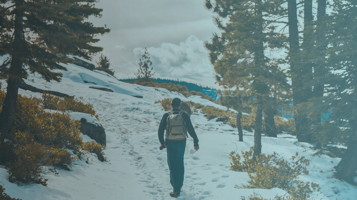 Walking the Great Outdoors is the Best Exercise