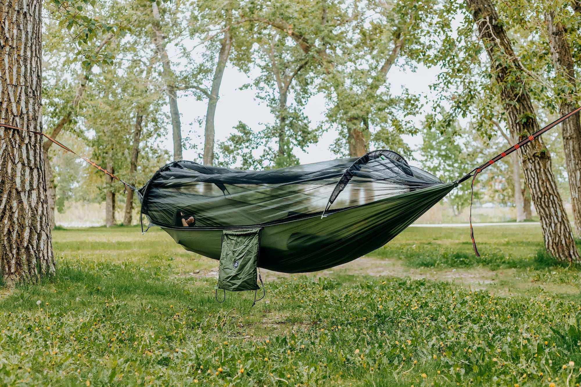 Mosquito hammock hotsell