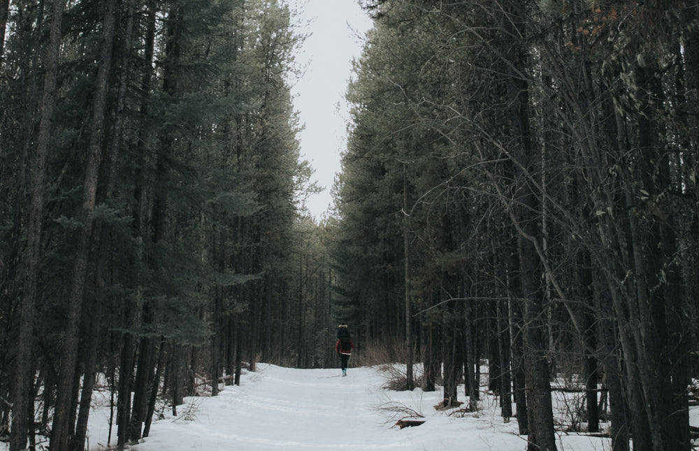 Hiking Alberta with your kids: top 7 family-friendly hikes near Calgary