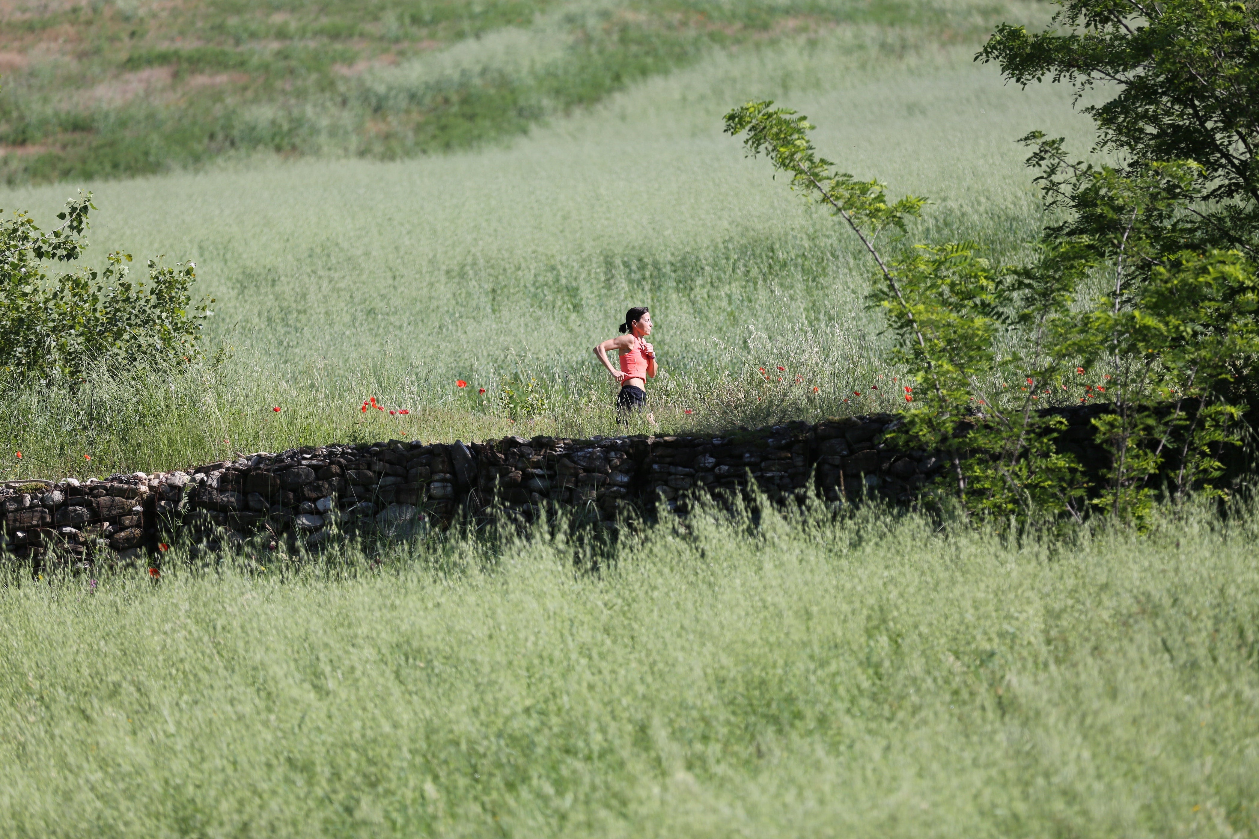 The Top 10 Canadian Trail Running Races